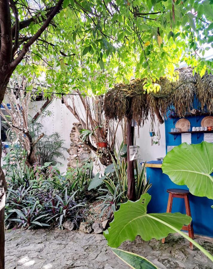 Hostal Jardin Mahahual Dış mekan fotoğraf